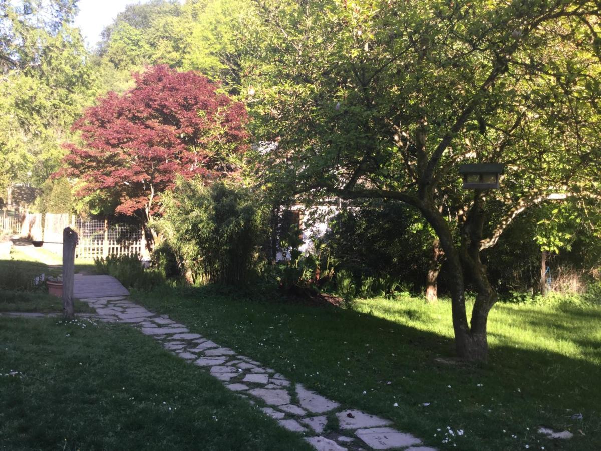 Wohnidylle Auf Schoenem Anwesen Im Wald Holiday home Bad Honnef